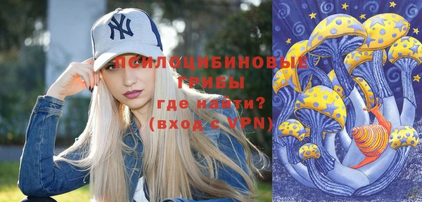 бошки Елабуга